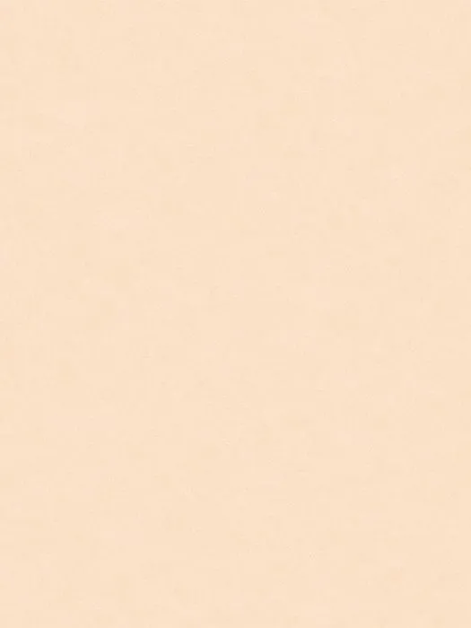 NP11 004
