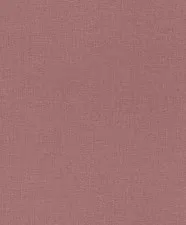 560169