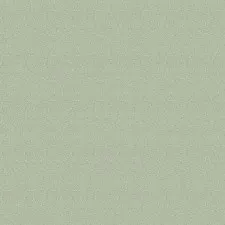 V3 005
