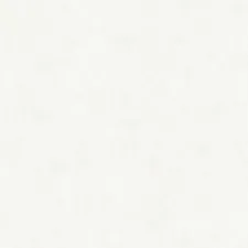 SP101