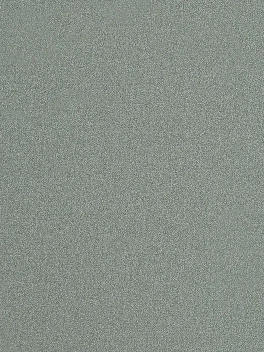 54355-31