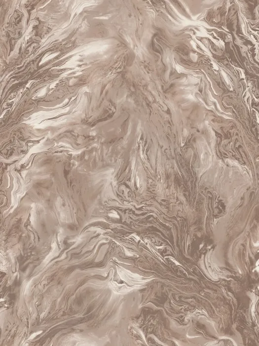 R217118