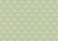 Обои Grandeco Jack 'n Rose 2024 JS 3312