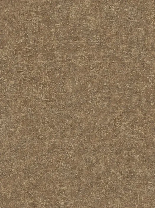 CO 1204