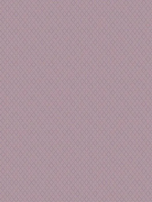 NEO5 221