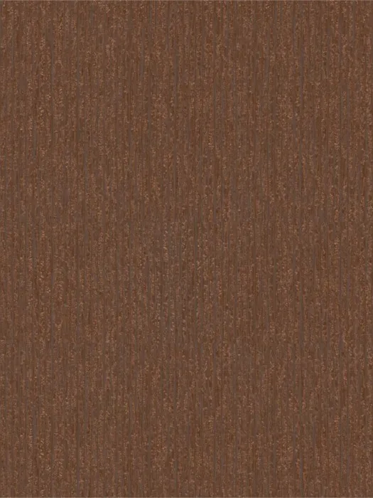 55565
