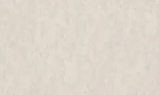 TM 1304