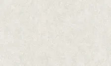 A55101
