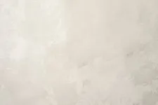 VS285926