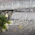 Oбои Paolo Oбои Paolo | Дом Декора