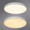 Потолочный светильник Arte Lamp ARENA A2671PL-1WH | Дом Декора