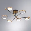 Потолочная люстра Arte Lamp HOLLY A1364PL-6PB | Дом Декора