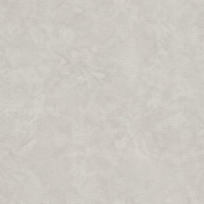 R24331