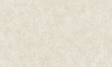 A55103