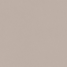 A100306