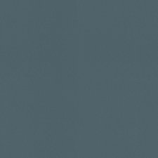 A100220