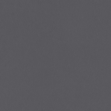 A100319