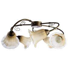 Люстра потолочная Arte Lamp A9361PL-5BR