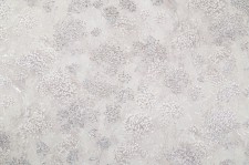 PL72155-28