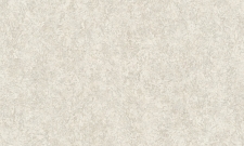 A55104