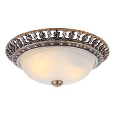 Накладной светильник Arte Lamp A7132PL-2SA