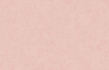 ARTS13 007