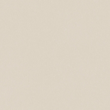 A100307