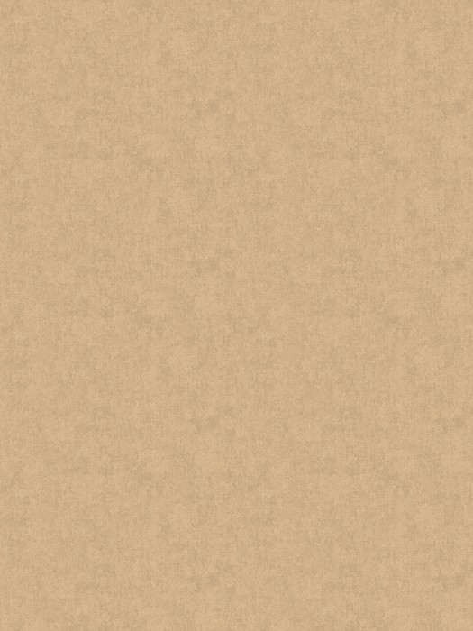 ARTS13 004-3